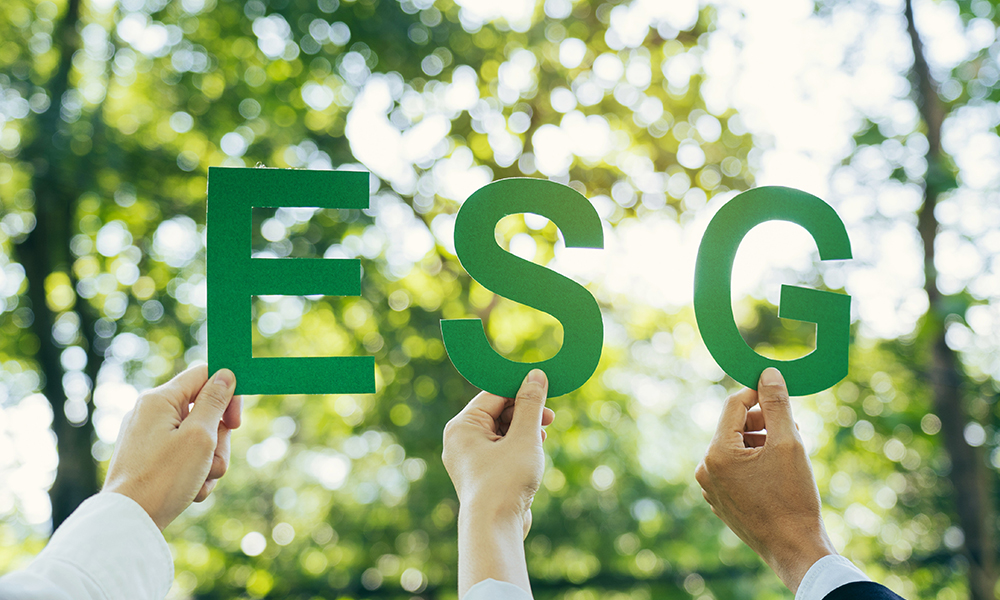 Rex environmantal social and governance